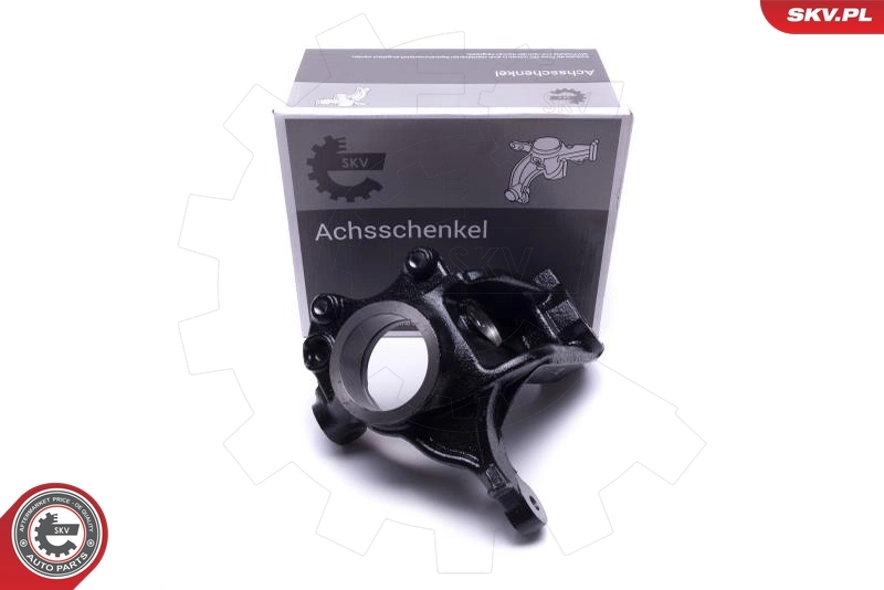 Steering Knuckle, wheel suspension